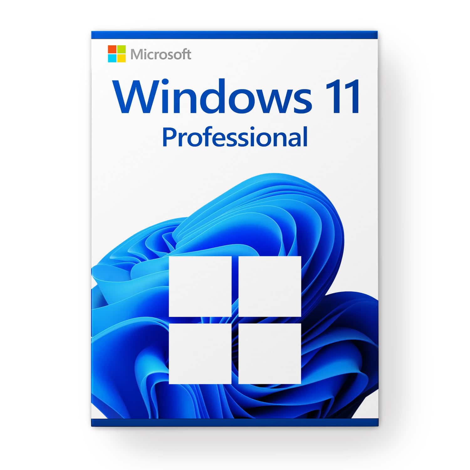 Windows 11 Pro